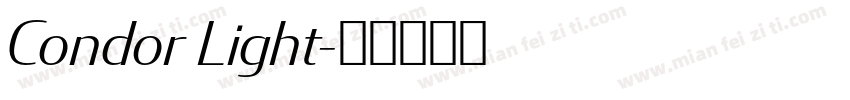 Condor Light字体转换